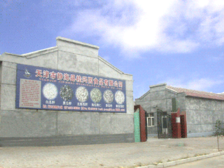 Tianjin Jinghai Guixingyuan Food Co., Ltd.